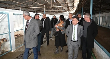 Manisa'da can dostlar için özel çalışma