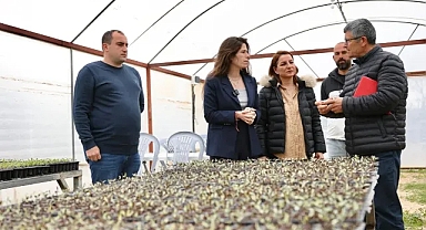 Çeşme’de Ata Tohumlarına Destek: 70 Bin Fide Üretilecek