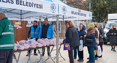 Milas Belediyesi’nden Vatandaşa Ücretsiz Portakal Dağıtımı